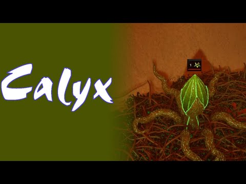 Видео: ТЕХНИКОЯДНЫЕ РАСТЕНИЯ — Calyx