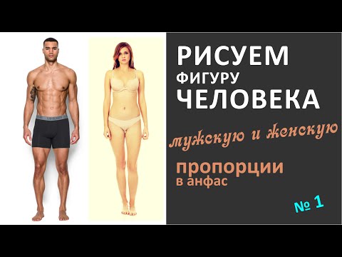 Видео: Как нарисовать человека? пропорции мужской и женской фигуры анфас (прямо)