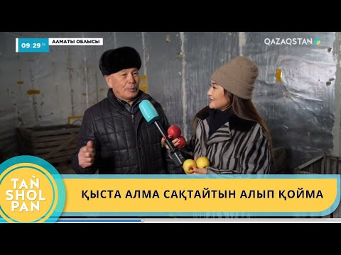 Видео: ҚЫСТА АЛМА САҚТАЙТЫН АЛЫП ҚОЙМА