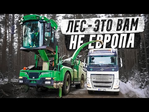 Видео: VOLVO FH 6x4 vs Дробилка. Лесные братья в деле #pavelkorol @volvotrucks