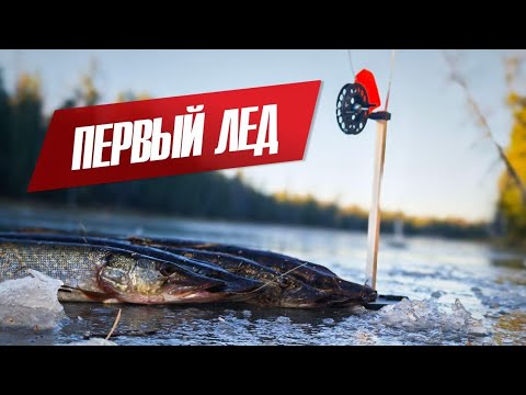 Видео: ЗИМНЯЯ РЫБАЛКА/ПЕРВЫЙ ЛЕД НА ЯМАЛЕ