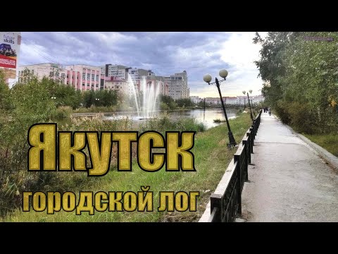 Видео: Якутск, городской лог