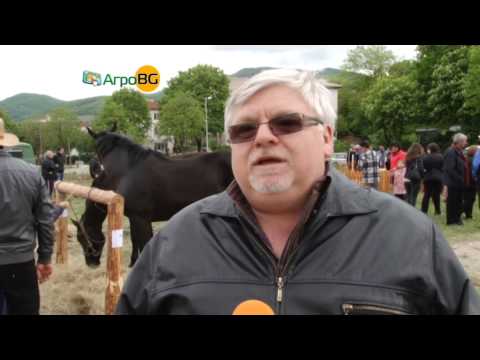 Видео: Фестивал на местните породи животни в Чипровци