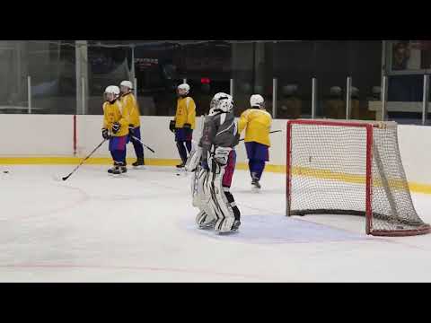 Видео: НАШИ МАСТЕР-КЛАССЫ. Технико-тактическая подготовка юных хоккеистов 7 - 12 лет