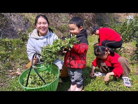 Видео: Дикий амарант в сочетании с особыми яичными блинами — это просто восхитительно!