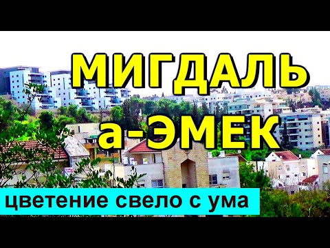 Видео: 795.Мигдаль-а-Эмек- стоит ли тут жить? Израиль