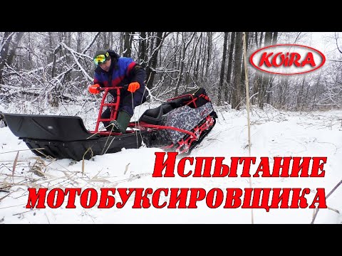 Видео: Испытание мотобуксировщика. Лесные покатушки на Койра Богатырь