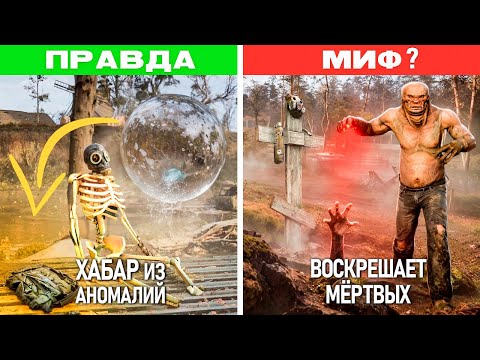 Видео: 7 МИФОВ из S.T.A.L.K.E.R. 2 | ПРОВЕРКА: ПРАВДА ИЛИ ОБМАН ?