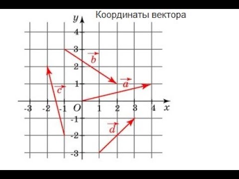 Видео: 13.05. 9а Координаты вектора