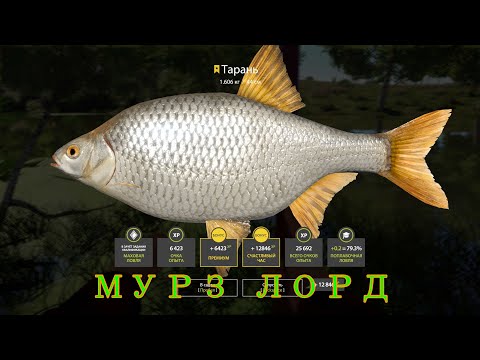 Видео: ТРОФЕЙ ТАРАНЬ РУССКАЯ РЫБАЛКА 4!!!ВОТ ТАК РЫБАЛКА 4!!!