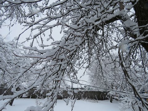 Видео: Первая зима в моём деревенском доме
