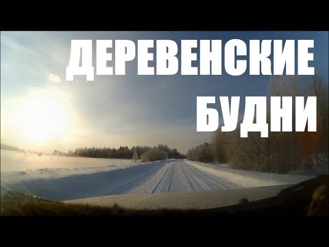 Видео: Деревенские Будни // Индюки, перепелки, куры, планы и зимняя сказка