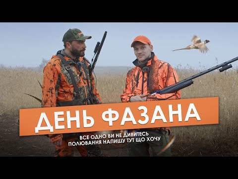 Видео: День фазана.