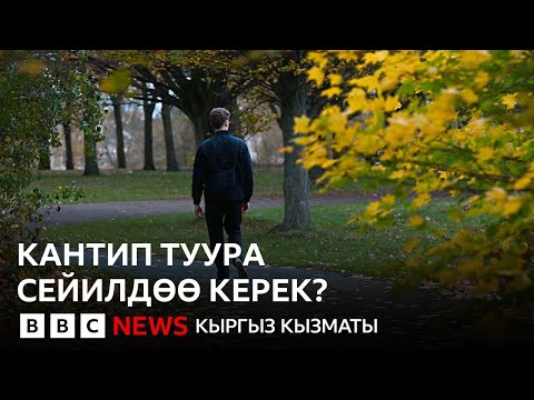 Видео: Күнүнө канча мүнөт басуу жүрөк-кан тамырларга пайдалуурак? - BBC Kyrgyz