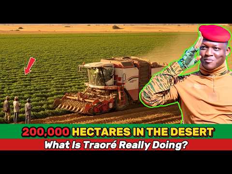Видео: Что на самом деле стоит за проектом Ибрагима Траоре по выращиванию картофеля на площади 200 000 г...