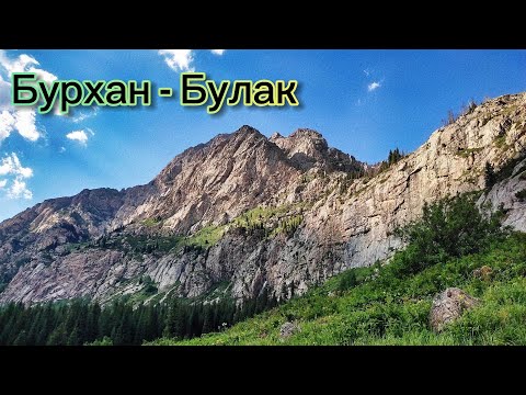 Видео: Водопад Бурхан-Булак | Коринское ущелье | Грибы | 13-16 июля 2023