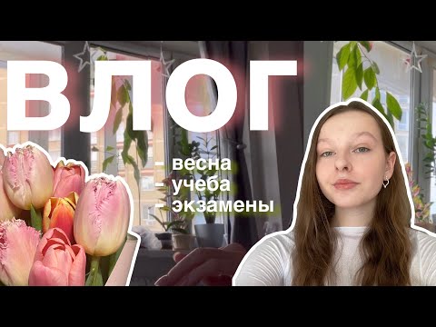 Видео: школьный влог | весна, подготовка к экзаменам, восьмое марта