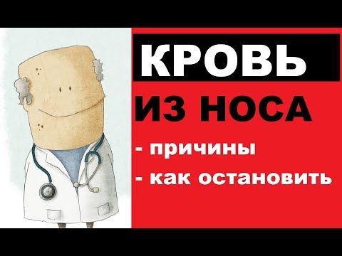 Видео: Почему идет кровь из носа: причины, способы остановки