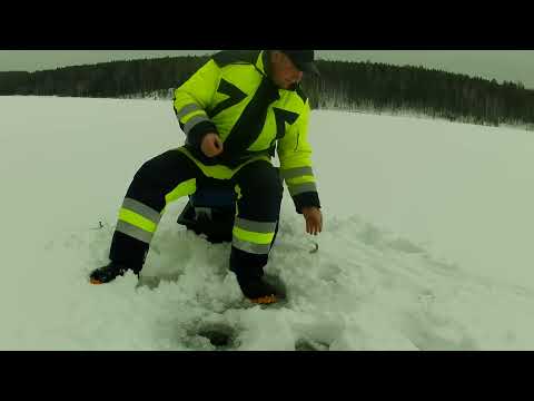 Видео: Первая рыбалка в 2025 году