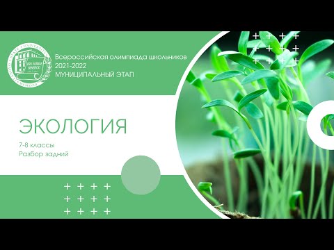 Видео: Муниципальный этап 2021-2022 уч.г. Экология. 7-8 классы. Разбор заданий