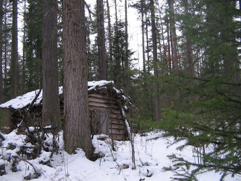 Видео: Друзья Берегите Законные Старые Избы!