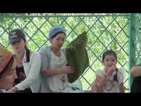 Видео: Құмкент қаласы 21.07.2018ж Бабай Түкті Шашты Әзіз