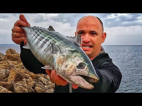 Видео: МОРЕТО ЗАВРЯ! Джуруми от паламуди!