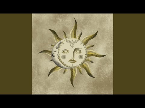 Видео: ППМЛ