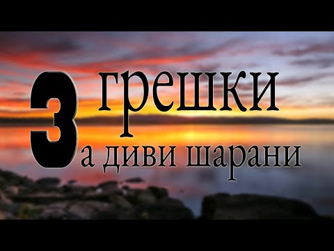 Видео: Риболов на шаран: Грешки на диво (2021)