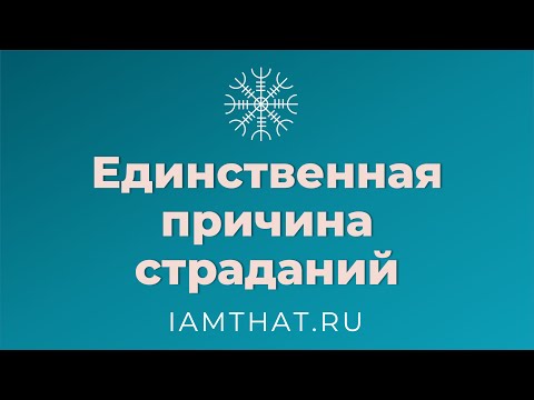 Видео: Единственная причина страданий