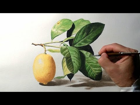Видео: Акварельные листья и лимоны