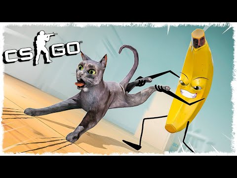 Видео: ТЕПЕРЬ КОТ НЕНАВИДИТ БАНАНЫ!!! УГАРНЫЕ ПРЯТКИ В CS:GO!!!