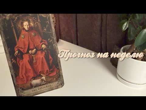 Видео: Прогноз на неделю.