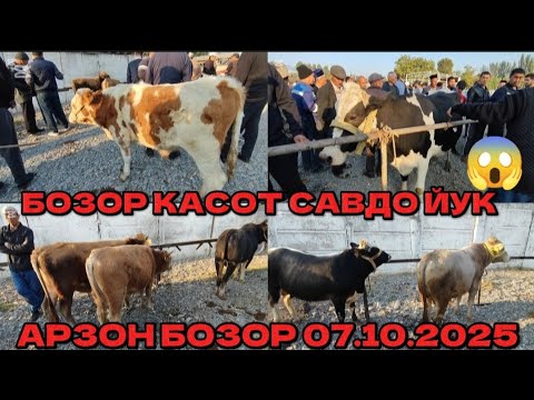 Видео:  7- октябр Ан. Кургонтепа Дардок мол бозор нархлар бозор дим #кодировтв2 