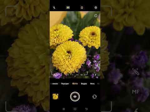 Видео: Настройки камеры Vivo X100 Pro и её особенности. Работа в альбомах.