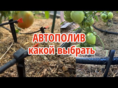 Видео: Все мои системы автополива: капельный от ёмкости и водопровода, сочащийся шланг. Плюсы и минусы
