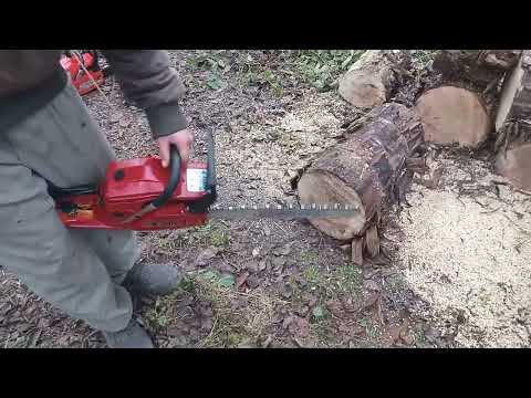 Видео: Тест китайских бензопил.Фореста против Гудлака