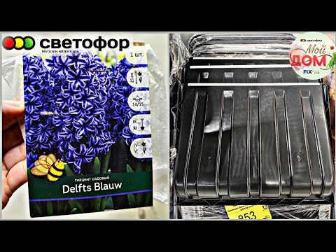Видео: 💕В Светофор привезли гиацинты, лопаты сентябрь 2025🔥Заказ Фаберлик каталог 14 2025