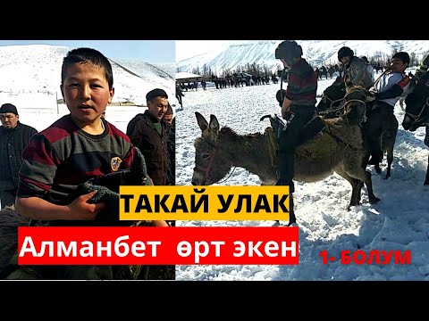 Видео: ТАКАЙ УЛАК  ( Ааламга жол айылдан башталат )