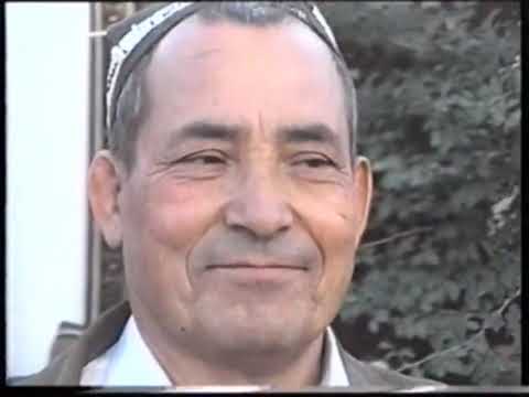 Видео: 29 июля 2025 г.