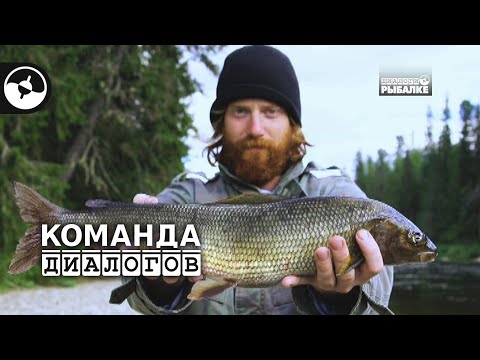 Видео: Крупный хариус. Спиннинг и нахлыст | Новые Диалоги