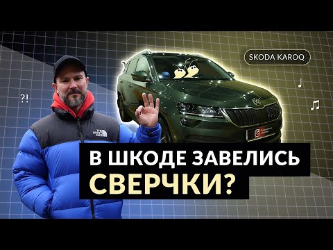 Видео: Шкода Карок — обзор и отзыв от владельца!