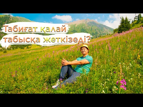 Видео: Жетістікке жету құпиясы | Жетістікке жету үшін табиғатпен үндес болу керек