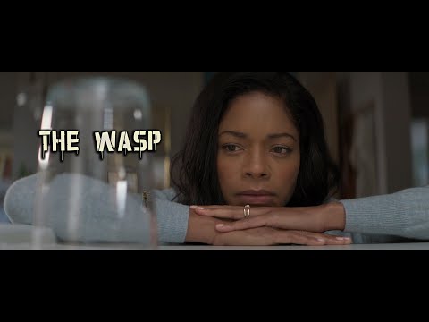 Видео: не ТРЕШ обзор на фильм Оса  (The Wasp)