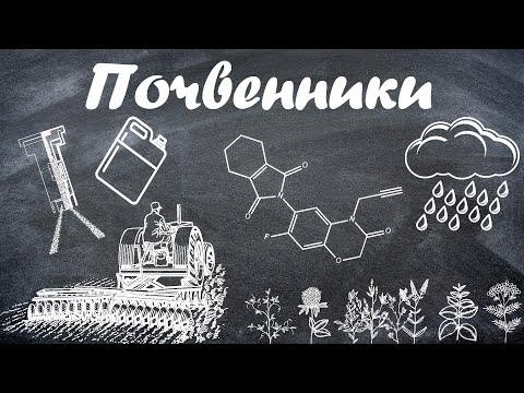 Видео: Довсходовые гербициды/почвенники/защита сои от сорняков