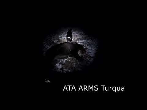 Видео: охота на кабана ночью с лайкой и тепловизором saim 19w