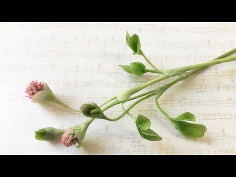 Видео: Клевер из полимерной глины. Мастер-класс