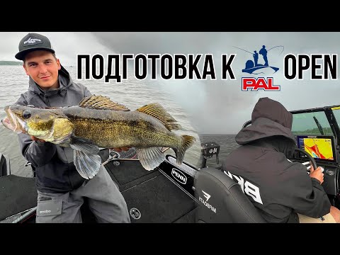 Видео: Тренировка перед PAL Open 2024 | Ловля судака на Иваньковском водохранилище - ПЕЛАГИКА и не только