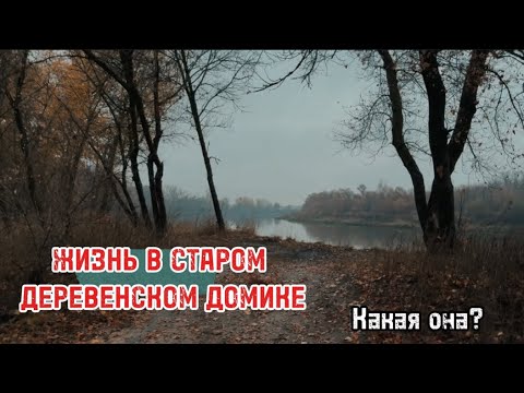 Видео: НА ПМЖ В ДЕРЕВНЮ ВОРОНЕЖСКОЙ ОБЛАСТИ