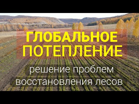 Видео: Ускоренное восстановление леса, спасение от глобального потепления